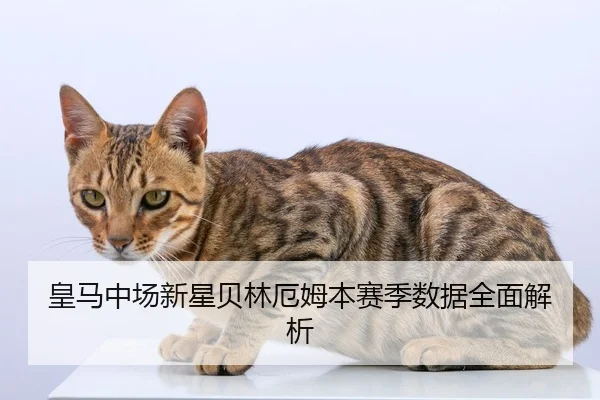 皇马中场新星贝林厄姆本赛季数据全面解析